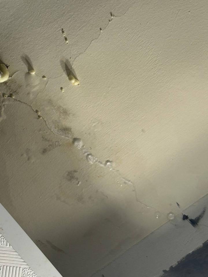 屋頂防水案件圖片
