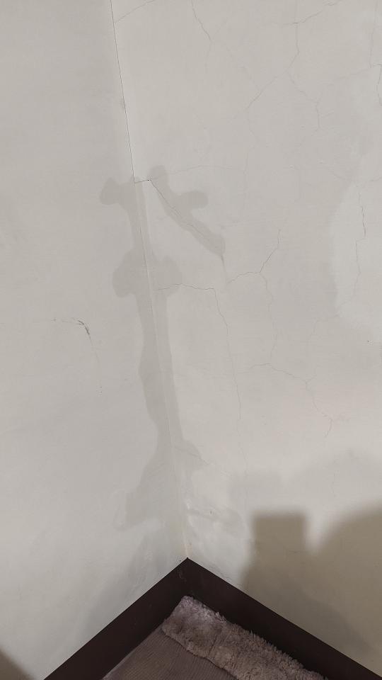 抓漏案件圖片