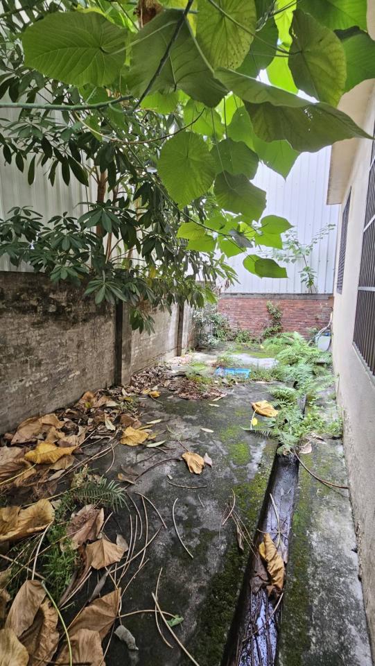 園藝維護案件圖片