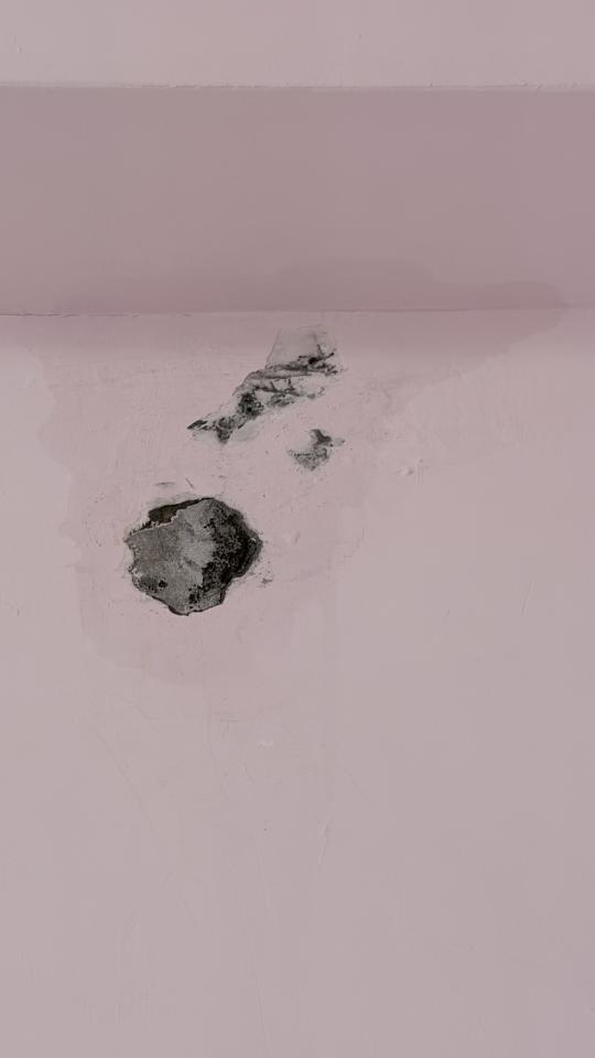 抓漏案件圖片
