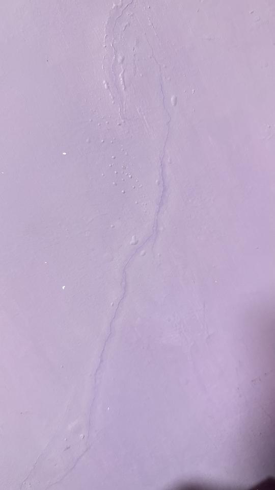 抓漏案件圖片