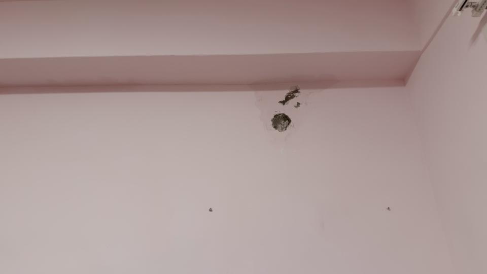 抓漏案件圖片