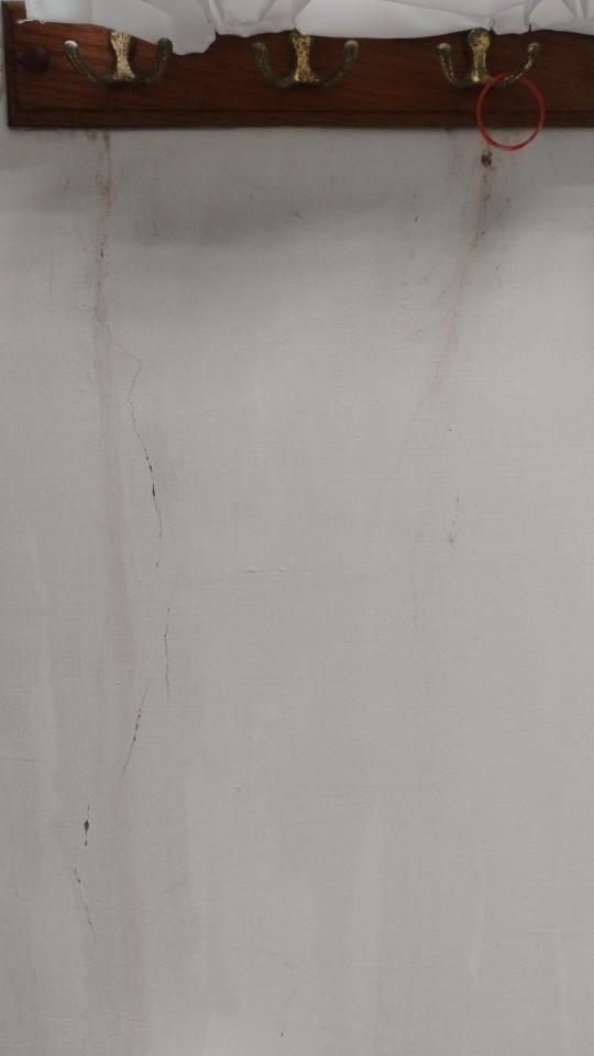 抓漏案件圖片