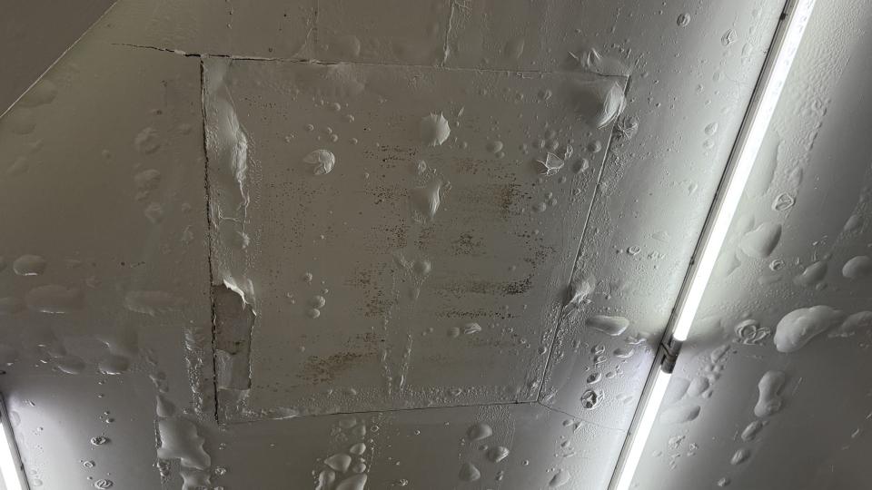 鐵皮屋頂案件圖片