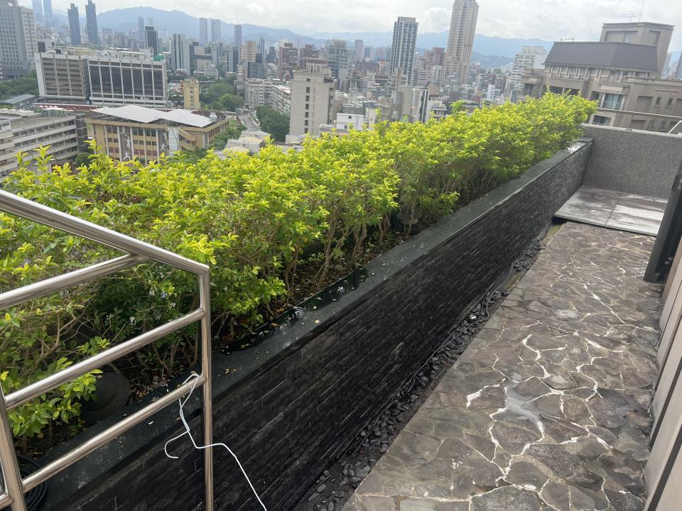 園藝維護案件圖片