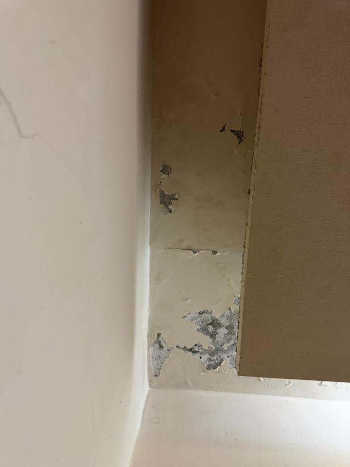 壁癌處理案件圖片