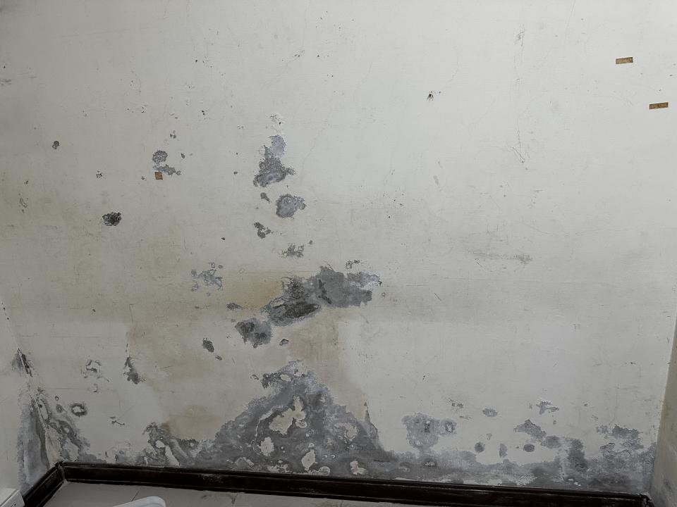 油漆工程案件圖片