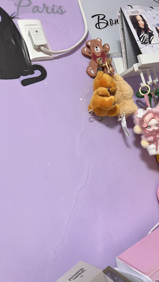 抓漏案件圖片