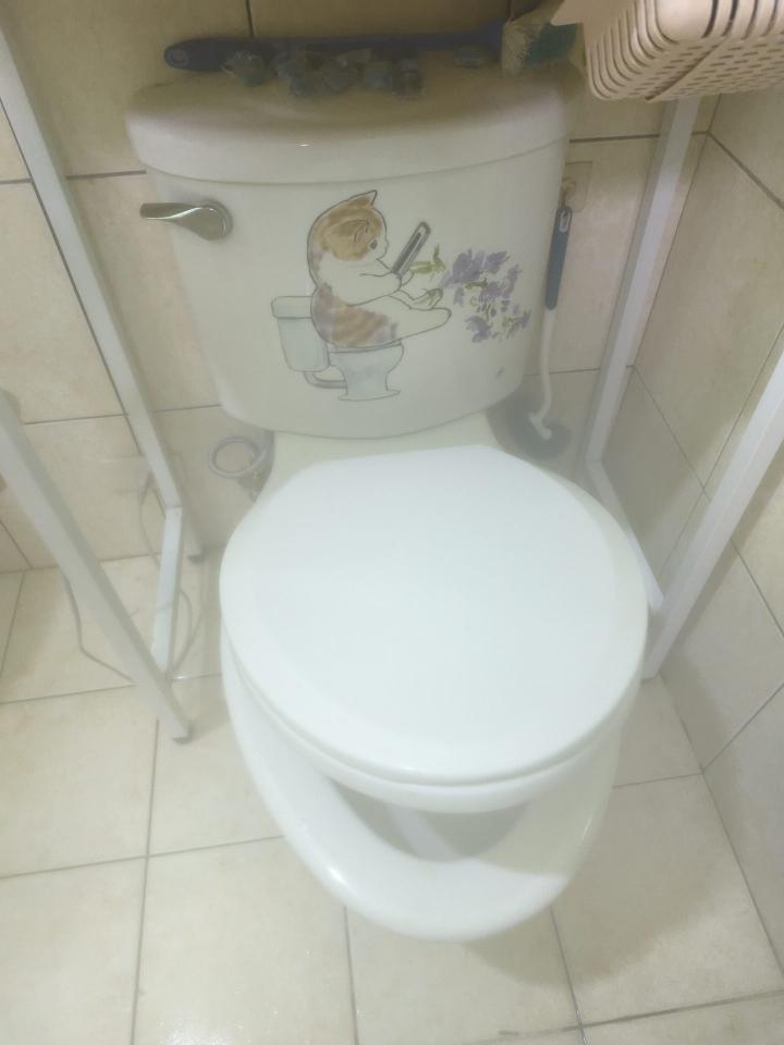 馬桶裝修案件圖片