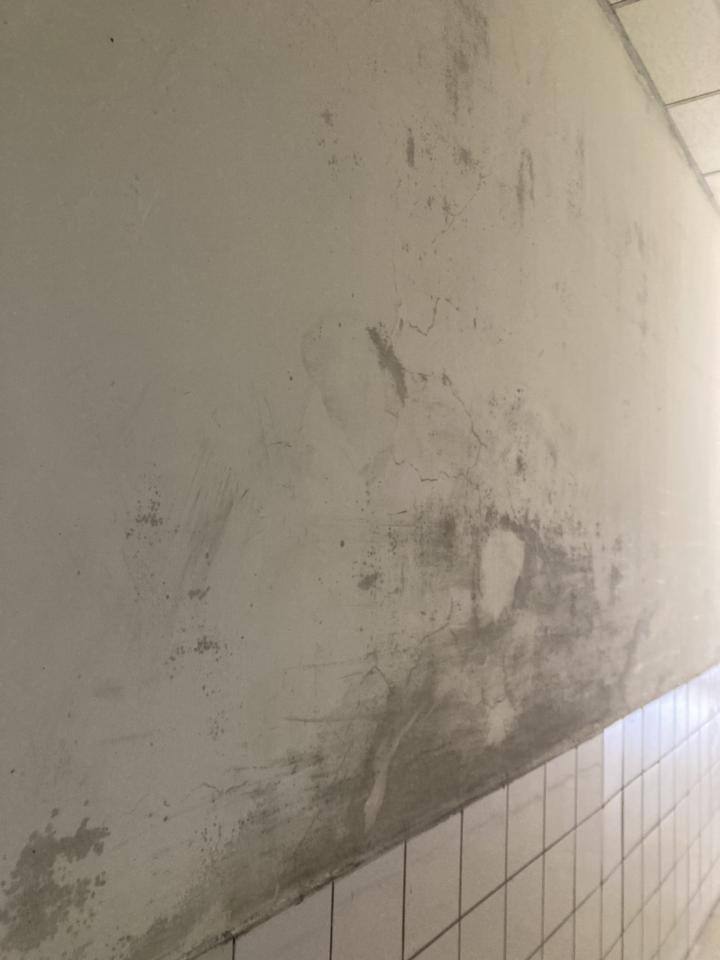 油漆工程案件圖片