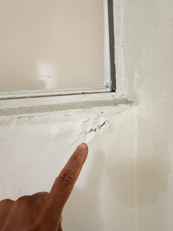 抓漏案件圖片