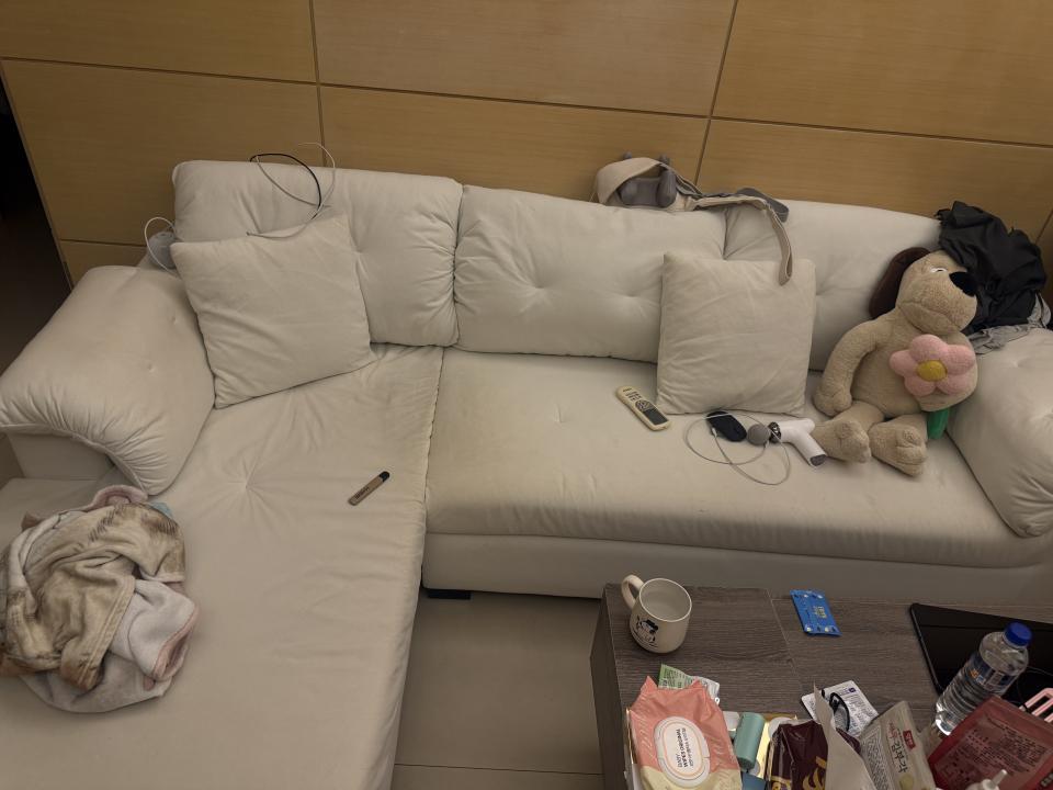 沙發清潔案件圖片