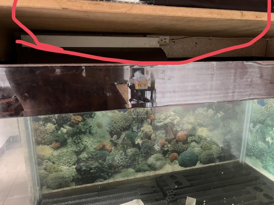 拆除工程案件圖片