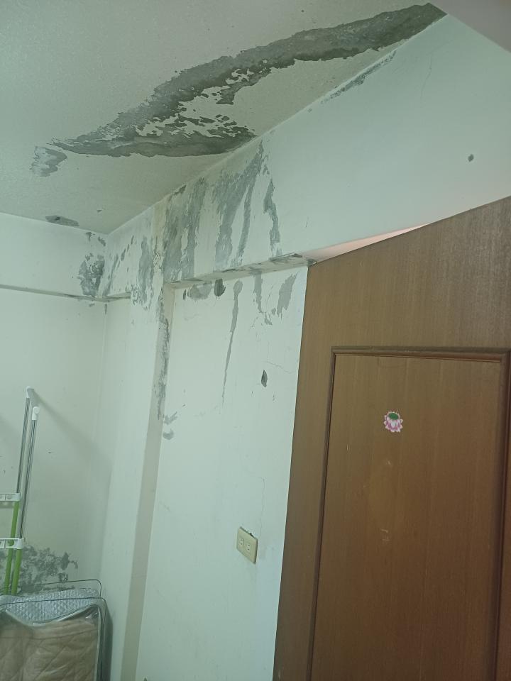 油漆工程案件圖片