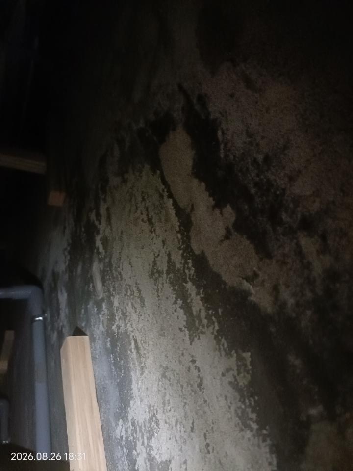 抓漏案件圖片
