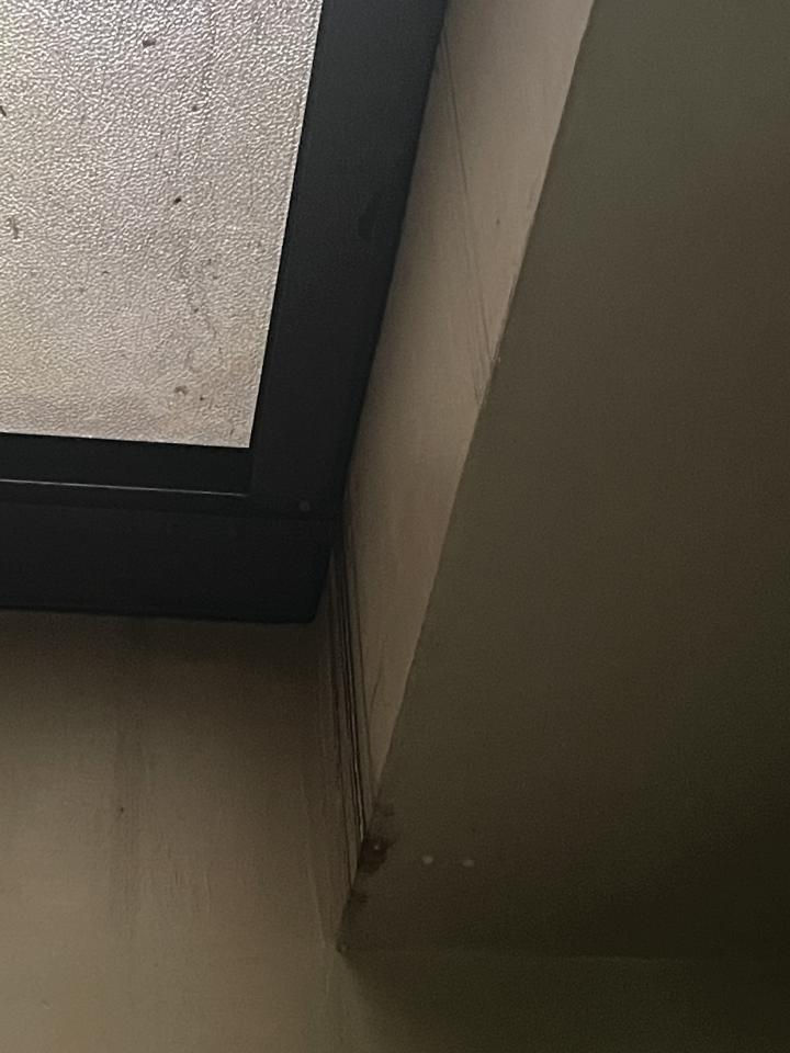 採光罩案件圖片
