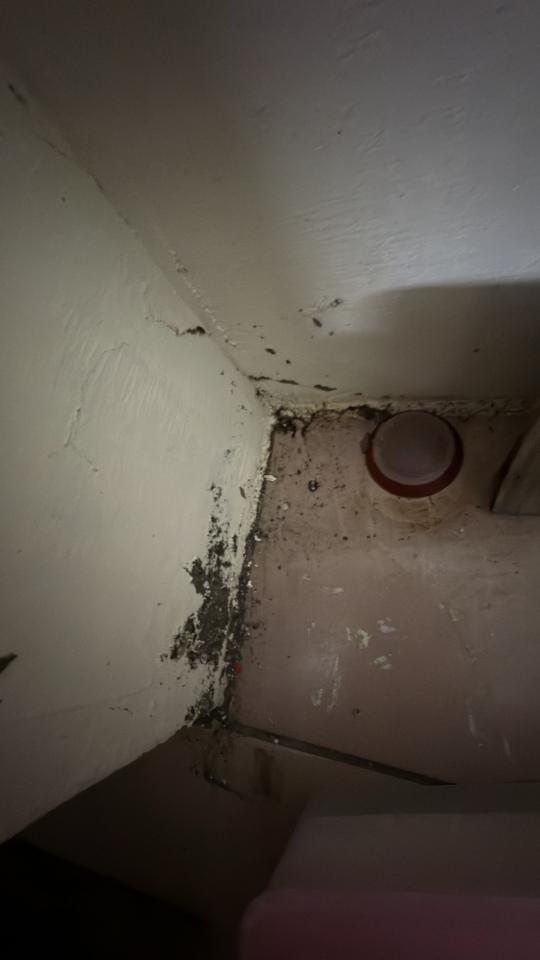 結構補強工程案件圖片