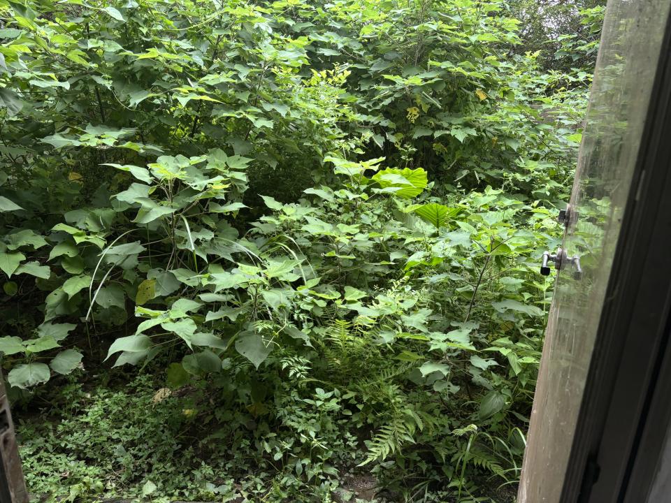 園藝維護案件圖片