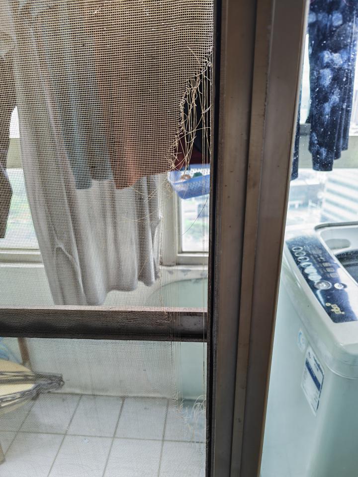 紗窗裝修案件圖片