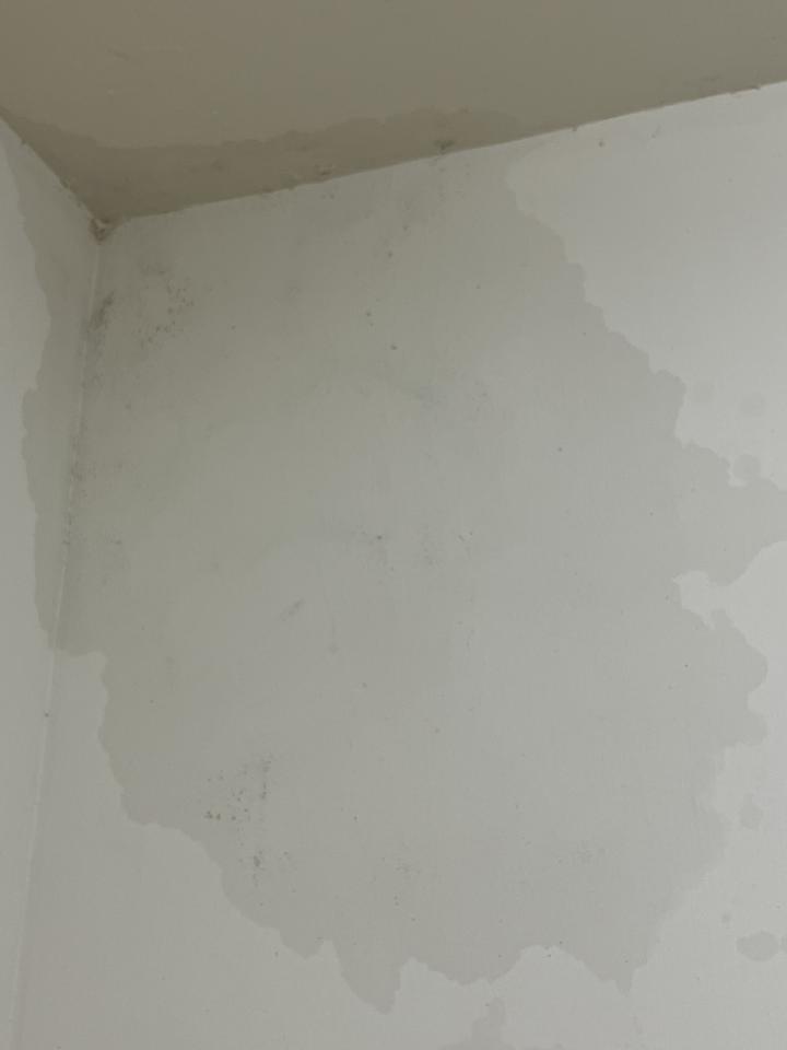 抓漏案件圖片