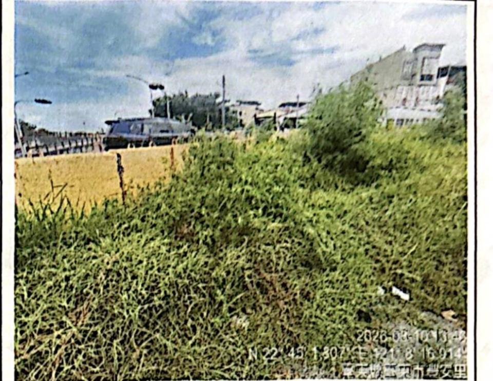園藝維護案件圖片