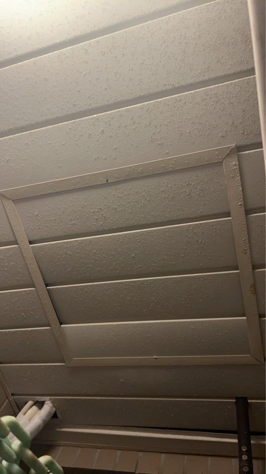 抓漏案件圖片