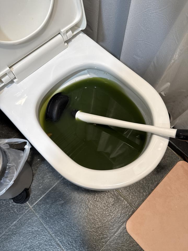 馬桶裝修案件圖片