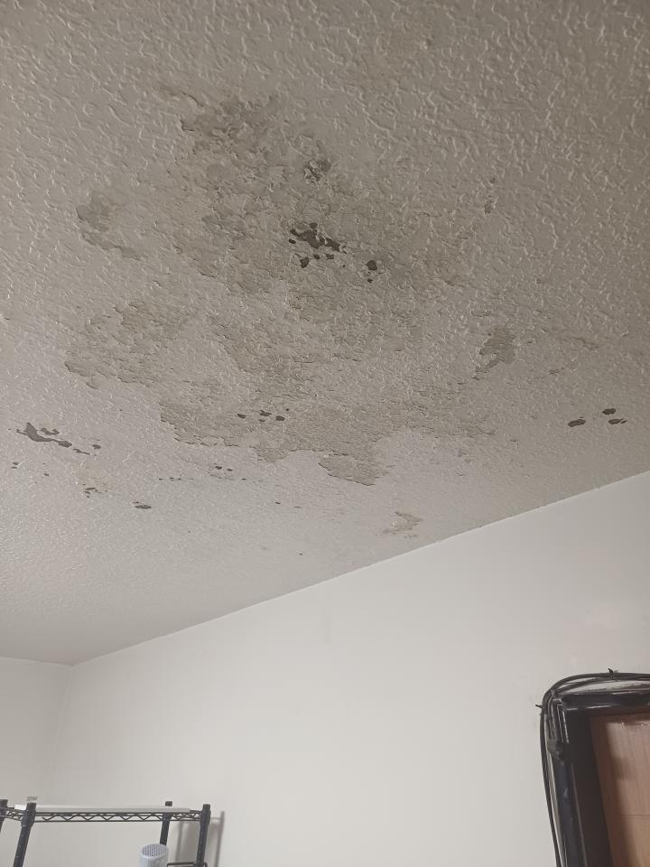 油漆工程案件圖片
