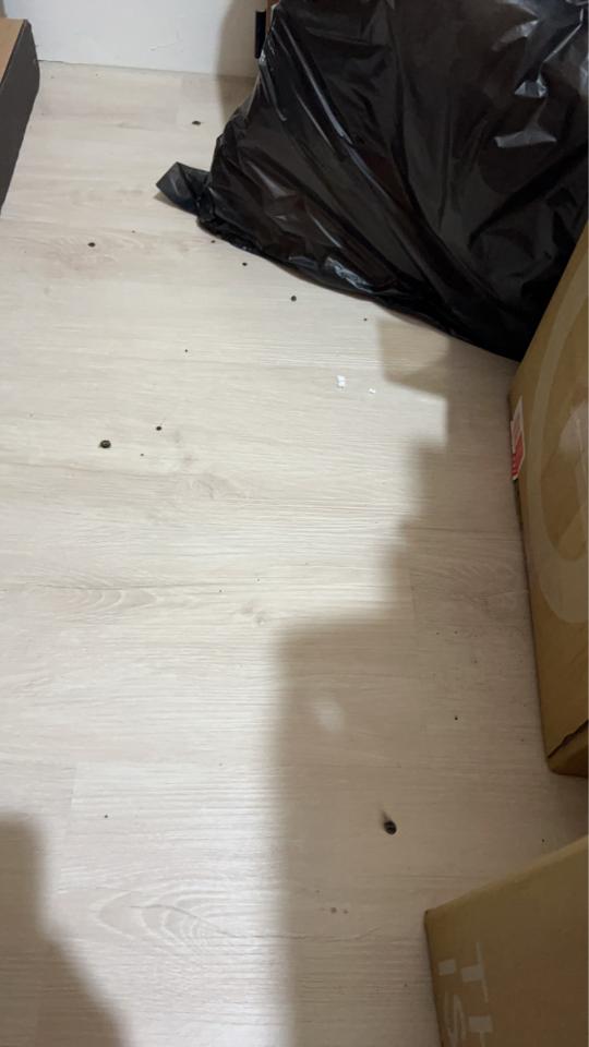 木工施工案件圖片