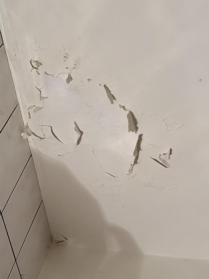 漏水處理案件圖片