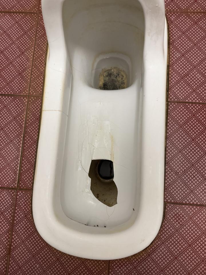 馬桶裝修案件圖片