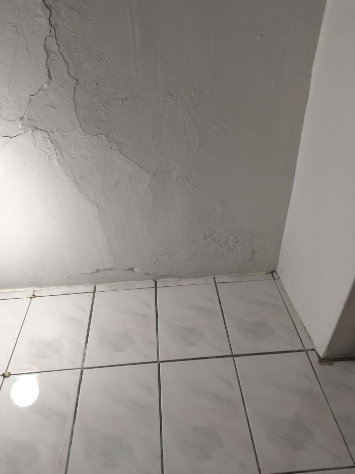 泥作/水泥施工案件圖片