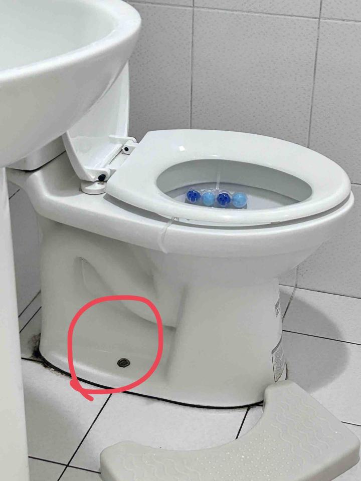 馬桶裝修案件圖片