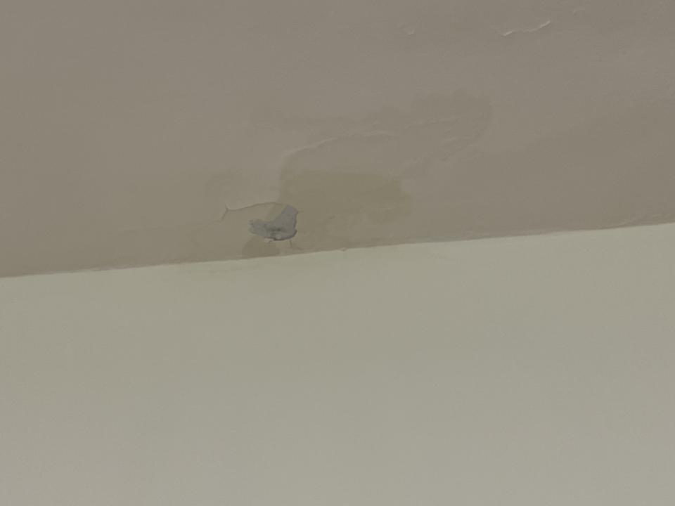 漏水處理案件圖片