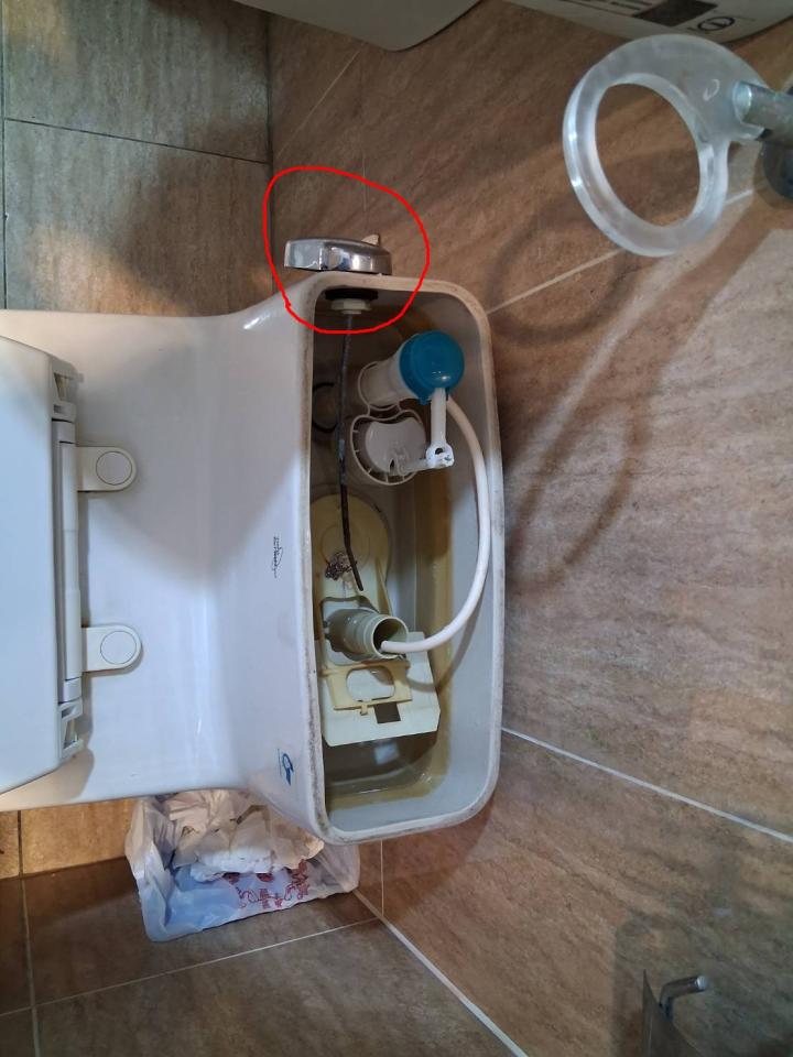 馬桶裝修案件圖片
