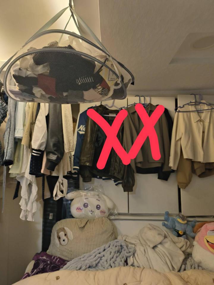 搬家案件圖片