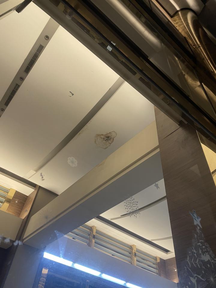 鷹架出租案件圖片