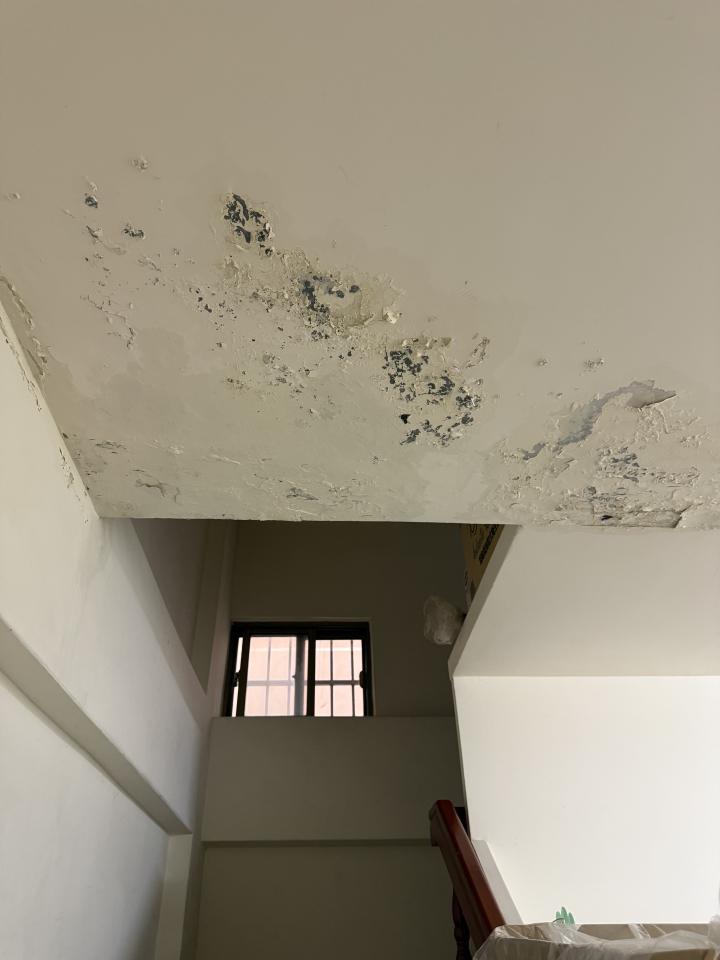 抓漏案件圖片