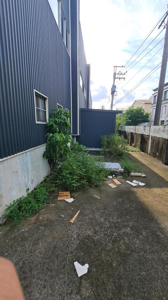 園藝維護案件圖片