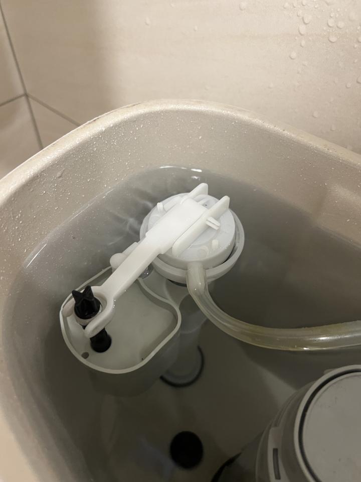 馬桶裝修案件圖片