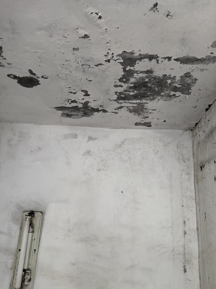 老屋翻新案件圖片