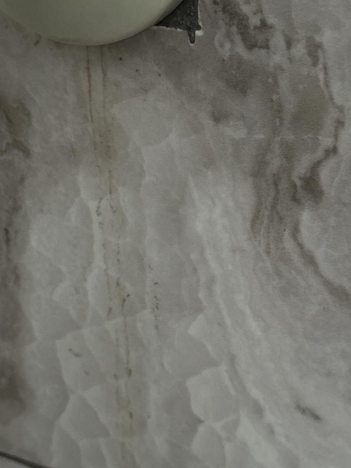 抓漏案件圖片