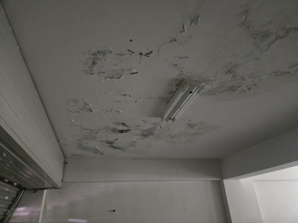 抓漏案件圖片