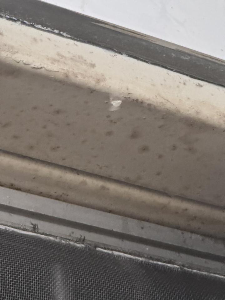 抓漏案件圖片