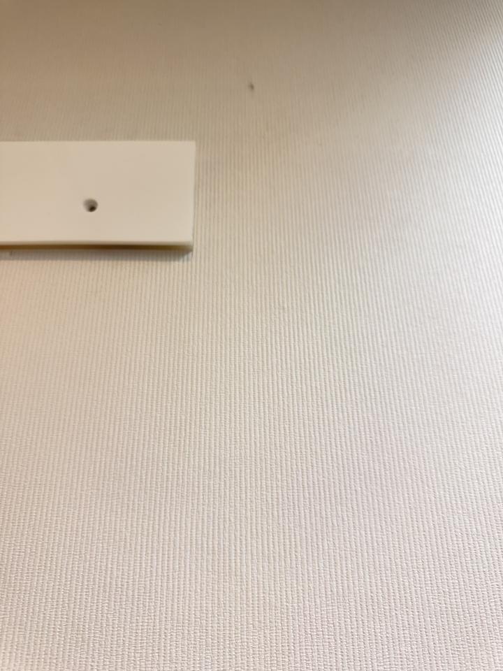 壁紙施工案件圖片