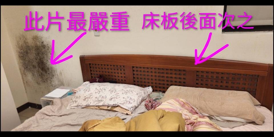 除霉案件圖片