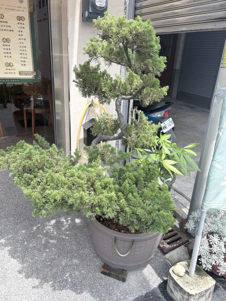園藝維護案件圖片