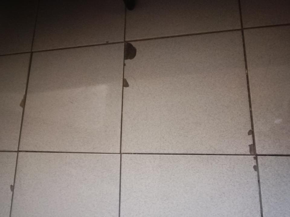 磁磚修補案件圖片