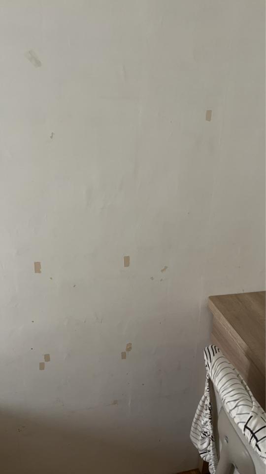 油漆工程案件圖片