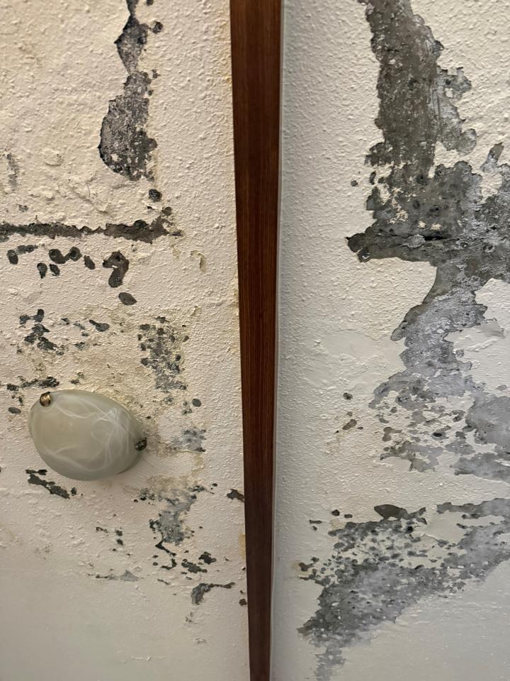 抓漏案件圖片